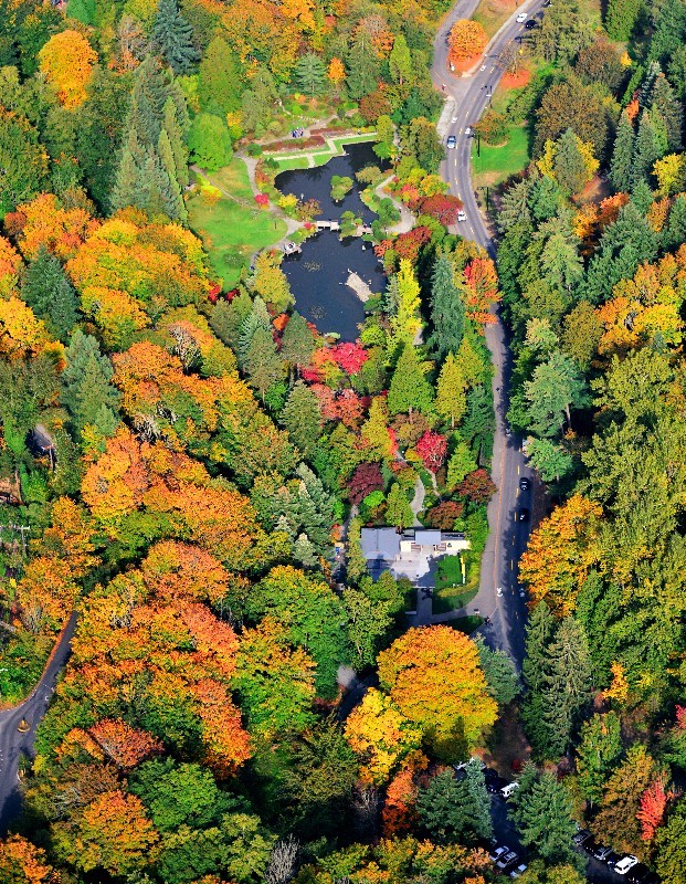 Description: Japanese Garden, Washington Park Arboretum, Seattle, Washington  